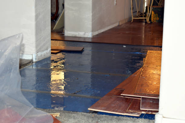 Professional Flood Damage Repair technician working in Pershing, IN
